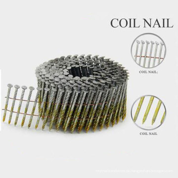 Hot Selling Coil Nails mit Plain Shank aus China